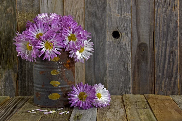 Autumn mum bouquet in tin can — Stock Photo, Image
