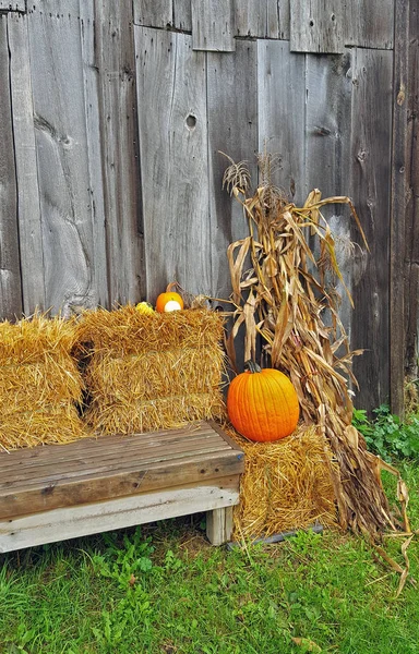 Pumpkins on hay bale with bench — Stock Photo, Image