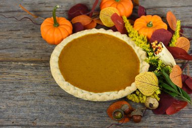 Şükran Günü balkabağı turtası