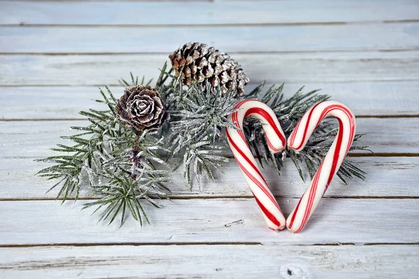 Candy cane heart with pine — Stock Photo, Image