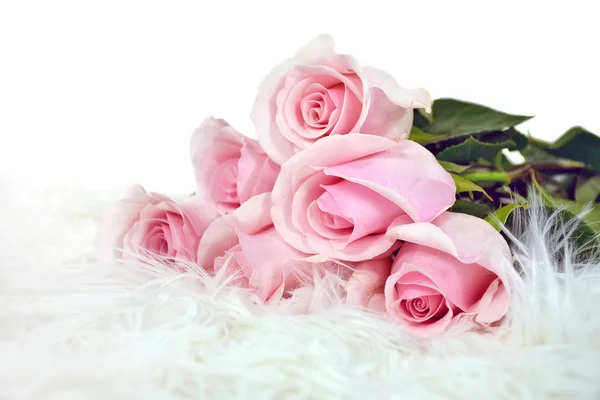 Pink rose bouquet in fur — Stock Photo, Image