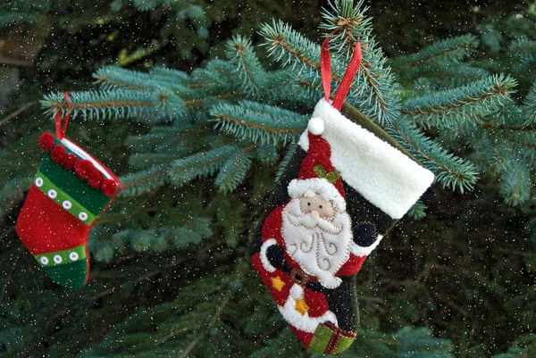 Weihnachtsstrumpf auf Kiefer mit Schneeflocken — Stockfoto