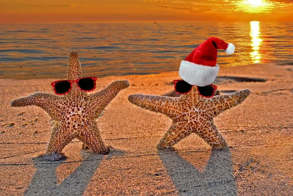 Christmas starfish on seashore — Stock Photo, Image