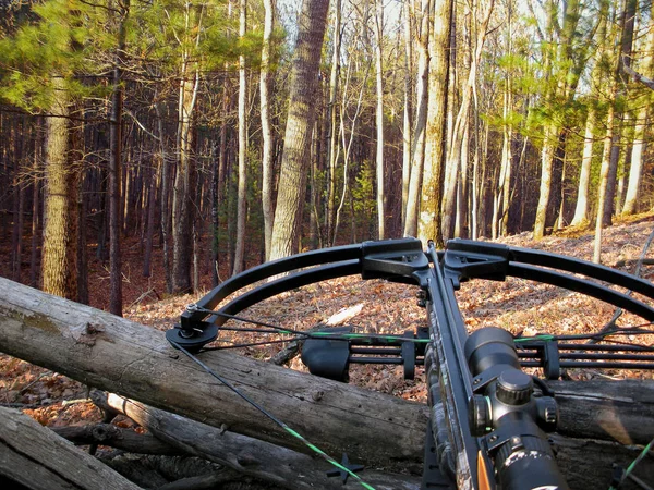 Κυνήγι crossbow μέσα φθινόπωρο δάσος — Φωτογραφία Αρχείου