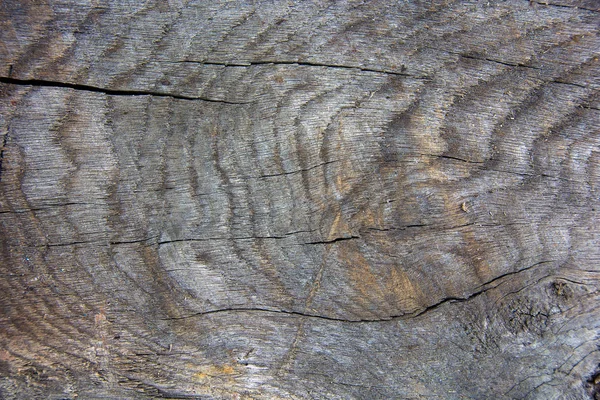 Close up de madeira intemperizada — Fotografia de Stock