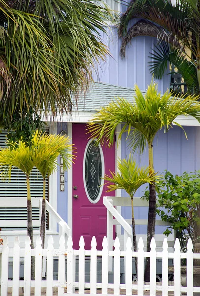 Pintoresca casa de campo en palmeras con puerta rosa —  Fotos de Stock