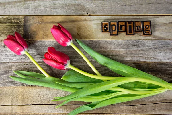 Tulipanes rojos sobre madera con tipografía —  Fotos de Stock