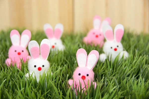 Easter bunnies in grass — Stock Photo, Image