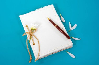 daisy ve dolma kalem ile günlük