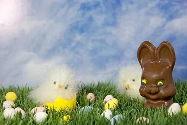 Chocolate Easter bunny and chicks — Stock Photo, Image