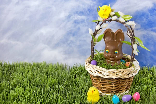 Conejo de Pascua de chocolate en cesta — Foto de Stock