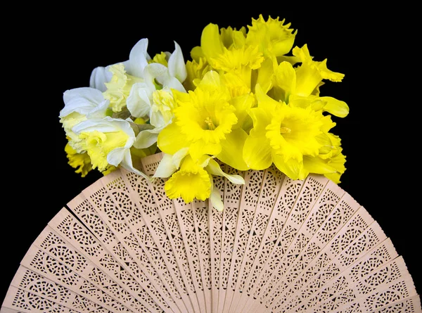 Daffodils and hand fan on black — Stock Photo, Image