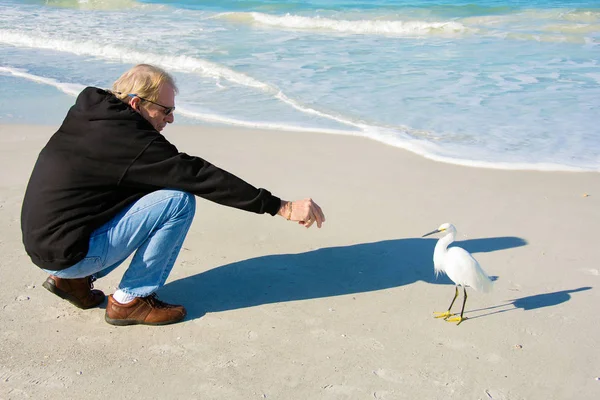 Muž na pláži s bílým heron — Stock fotografie