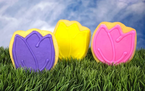 Colorful tulip cookies in grass — Stock Photo, Image