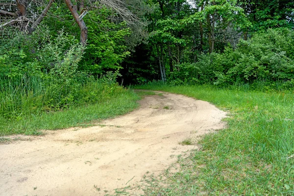 Estrada de terra na floresta verde — Fotografia de Stock