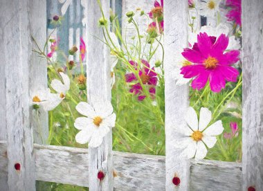 İzlenimcilik cosmos çiçek ve Bahçe Çit