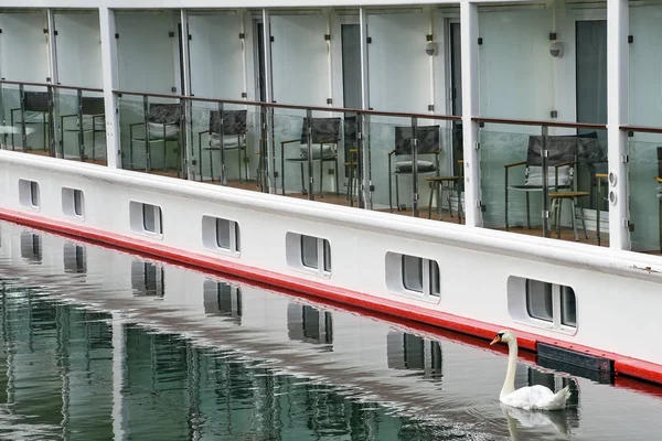 White swan by cruise ship — Stock Photo, Image