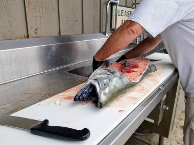 adam filleting somon 