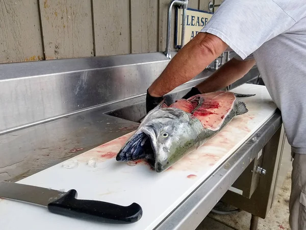 Hombre fileteado salmón —  Fotos de Stock