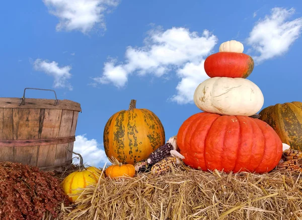 Calabazas de otoño y cesta en la paca de heno —  Fotos de Stock