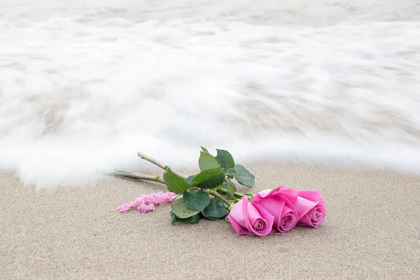 Rosas Rosadas Una Orilla Del Mar Arenosa Con Spray Olas —  Fotos de Stock