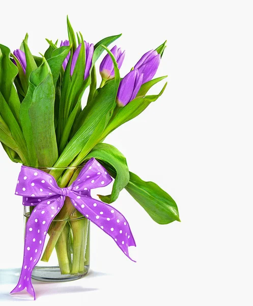 Bouquet Tulipes Violet Dans Vase Verre Avec Arc Pois Isolé — Photo