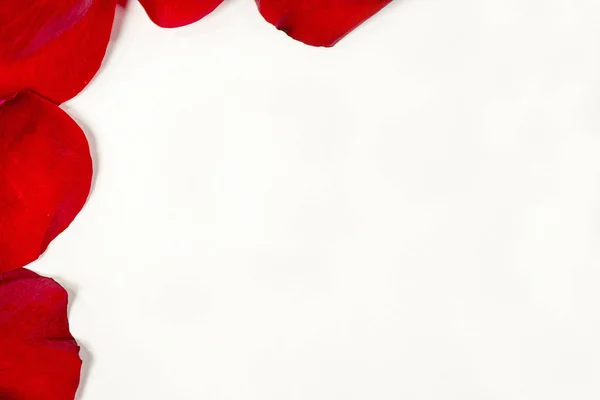 白色空白空间上的红玫瑰花瓣框架 — 图库照片