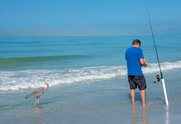アオサギとフロリダ州のメキシコ湾海岸に釣り竿を持った若い男 — ストック写真