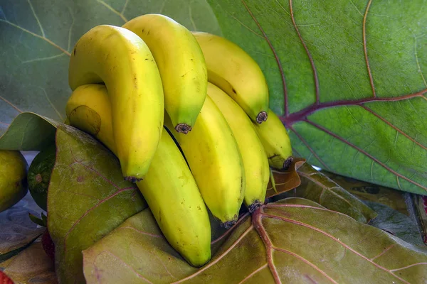 Gros Plan Bouquet Bananes Jaunes Mûres Sur Grandes Feuilles Vertes — Photo
