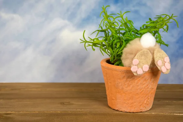 Vue Arrière Lapin Lapin Plante Verte Dans Pot Fleurs Avec — Photo