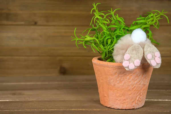 Vista Posteriore Coniglietto Marrone Fuzzy Vaso Fiori Pianta Verde Legno — Foto Stock