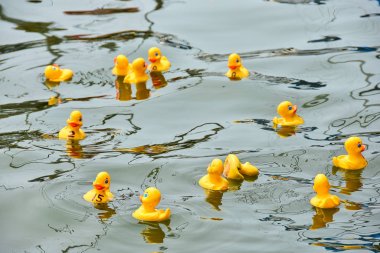 Göl su üzerinde yüzen bir ördek yarışta sarı lastik ördek
