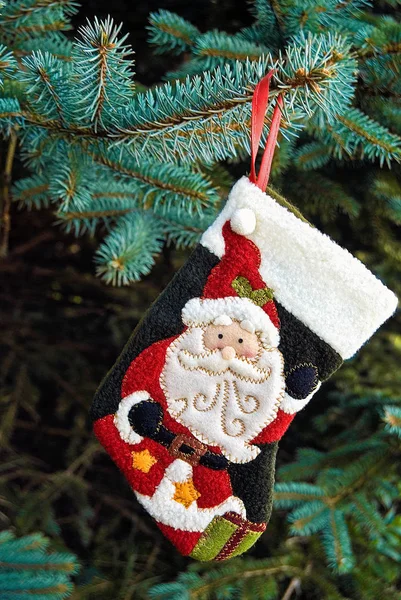 Close Των Χριστουγέννων Santa Κάλτσα Κρέμεται Από Κλαδί Πεύκου — Φωτογραφία Αρχείου
