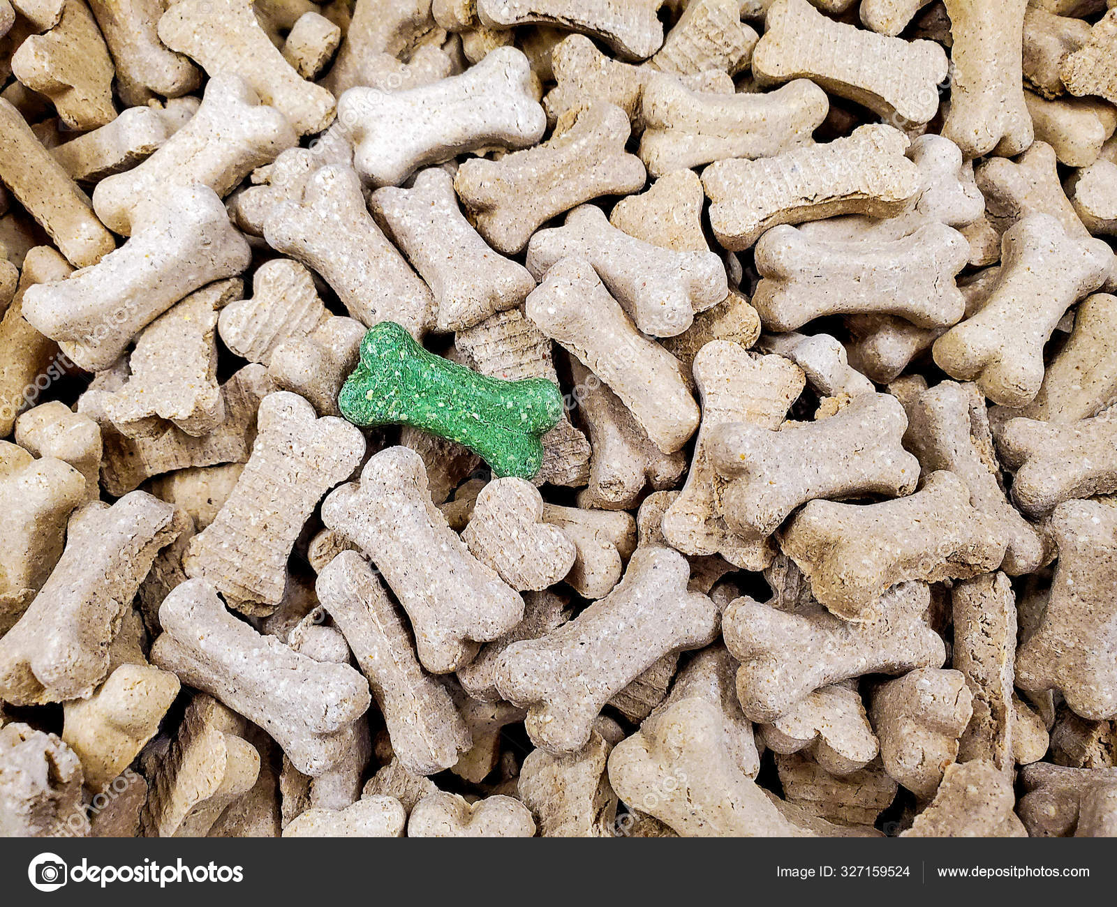 Green dog bones 2025