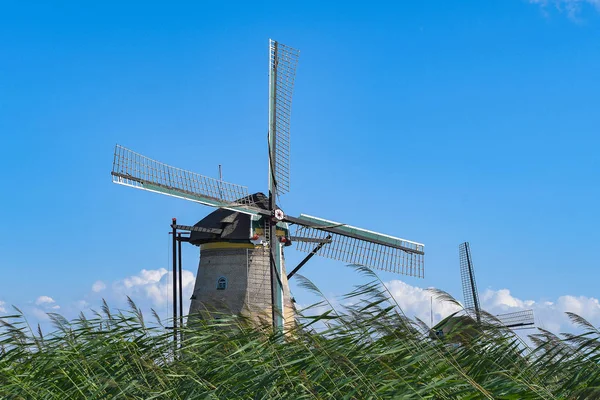 Mulino Vento Olandese Con Erba Verde Soffiante Kinderdijk Paesi Bassi — Foto Stock