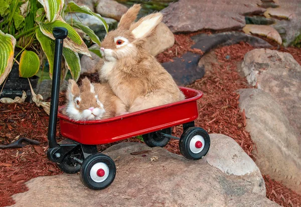 Coppia Coniglietti Piccolo Carro Rosso Una Grande Roccia Giardino — Foto Stock