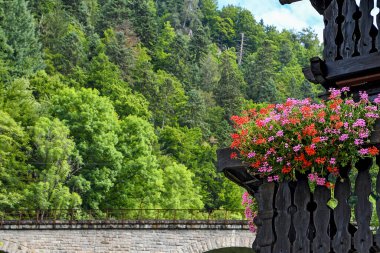 bright red and pink geranium flower box on house railing in Black Forest Germany