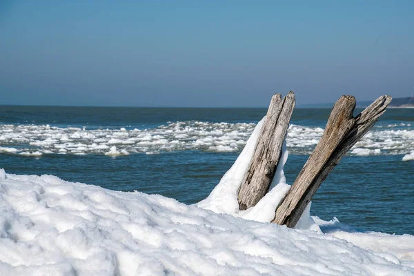Ošlehaná Polena Naplaveného Dřeva Sněhu Michiganským Jezerem — Stock fotografie
