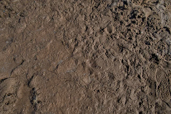暗褐色湿泥浆背景的特写 — 图库照片