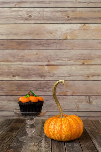 Pumpkin muffin with ornamental fall gourd — Stock fotografie