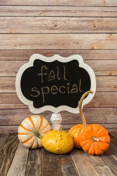 Señal de pizarra y calabazas decorativas de otoño — Foto de Stock