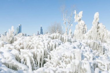 chicago, kış