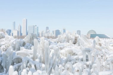 chicago, kış