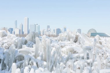 chicago, kış