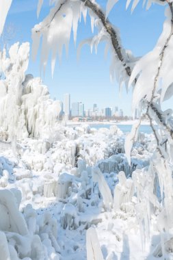 chicago, kış