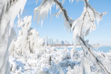 chicago, kış