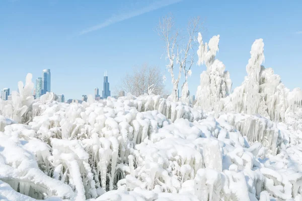chicago, kış