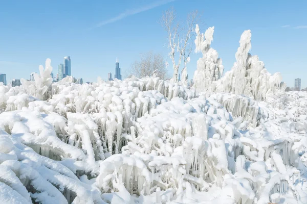 Chicago, kış Stok Resim