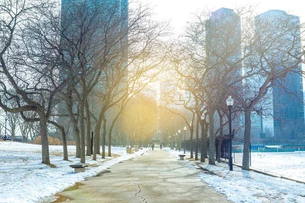 Chicago centro do parque público — Fotografia de Stock