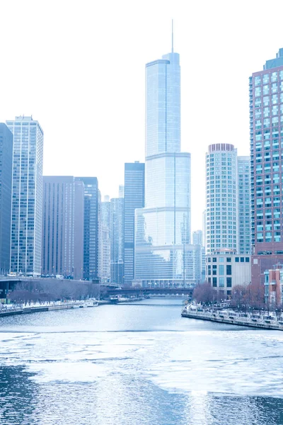 Жилой район Чикаго на берегу реки — стоковое фото